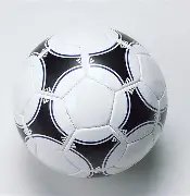 王钰栋乌龙,助浙江队赛,季首胜,乐鱼体育会员登录入口,H5乐鱼体育官网,乐鱼体育